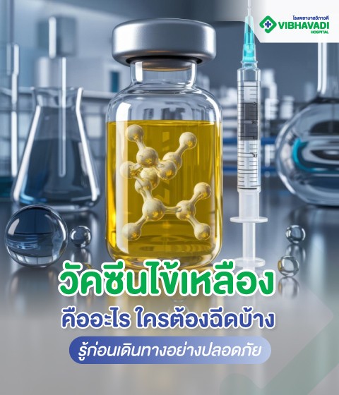 วัคซีนไข้เหลืองคืออะไร ใครต้องฉีดบ้าง รู้ก่อนเดินทางอย่างปลอดภัย