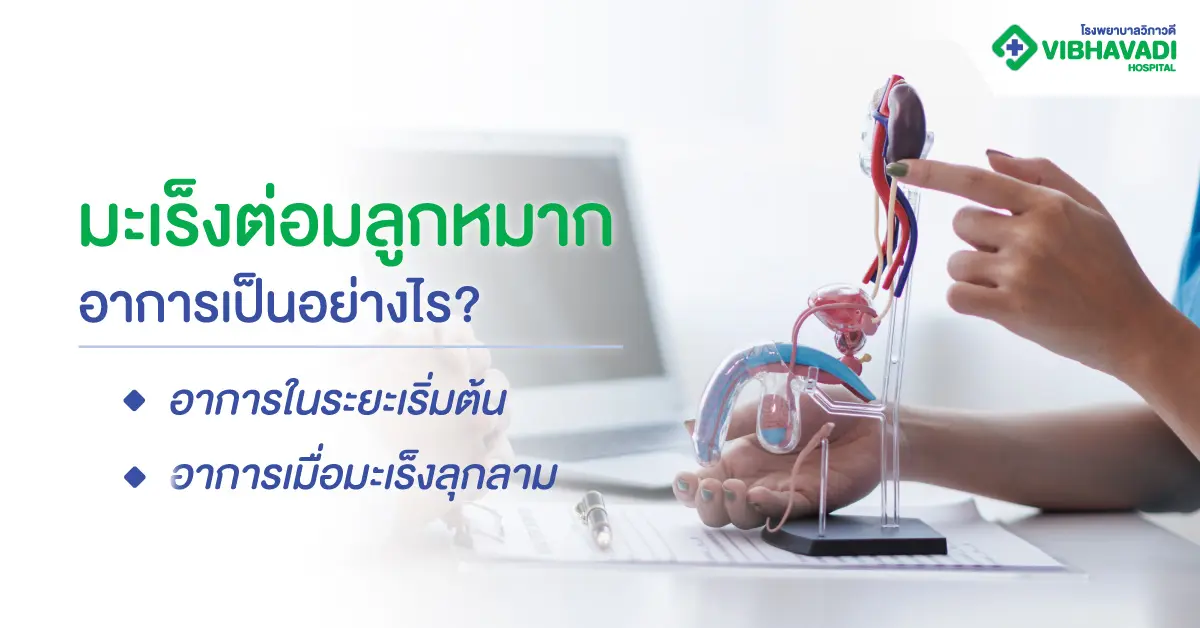 มะเร็งต่อมลูกหมาก อาการ