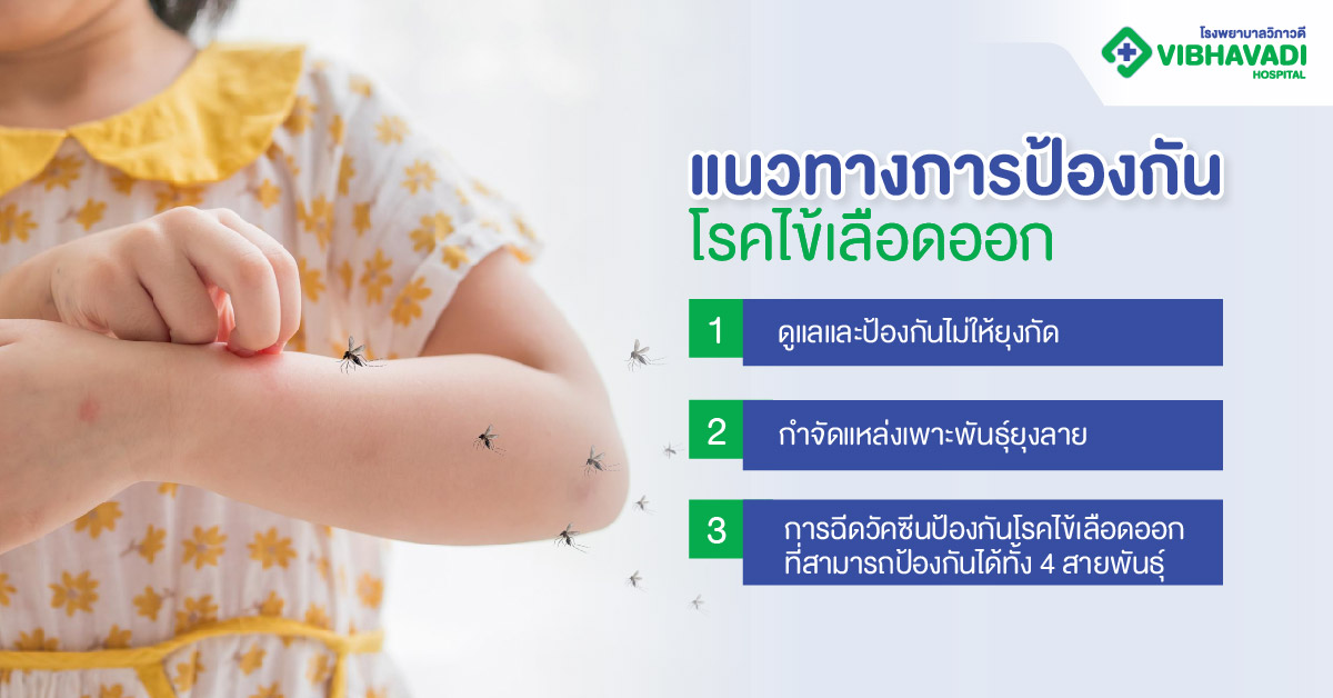 แนวทางการป้องกันโรคไข้เลือดออก