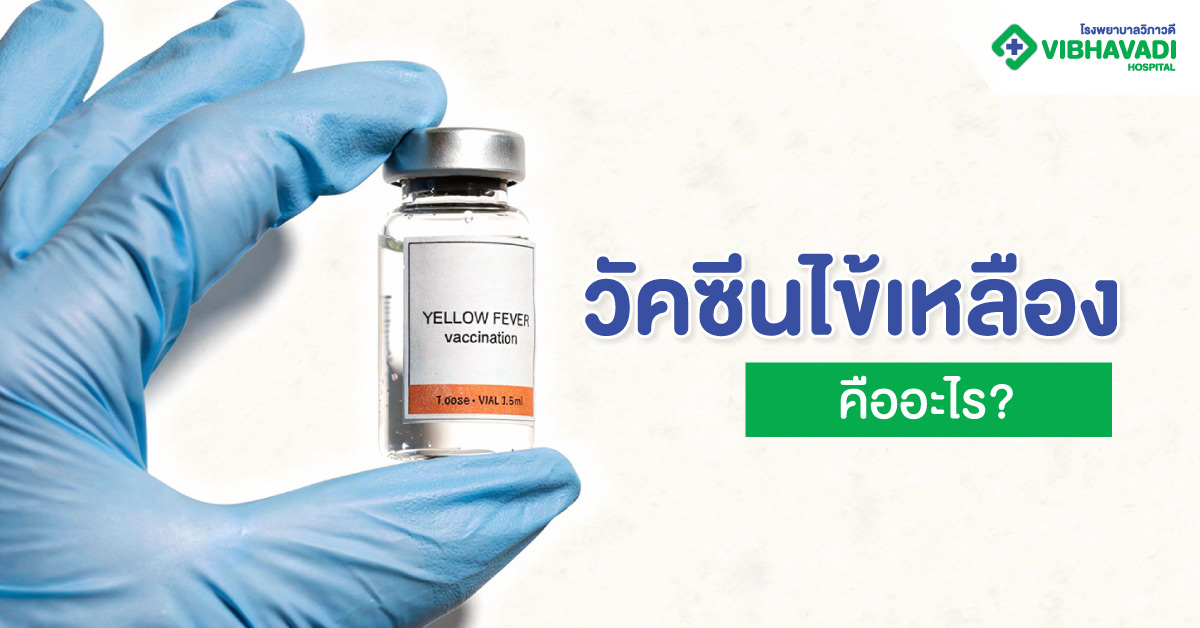 วัคซีนไข้เหลืองคืออะไร