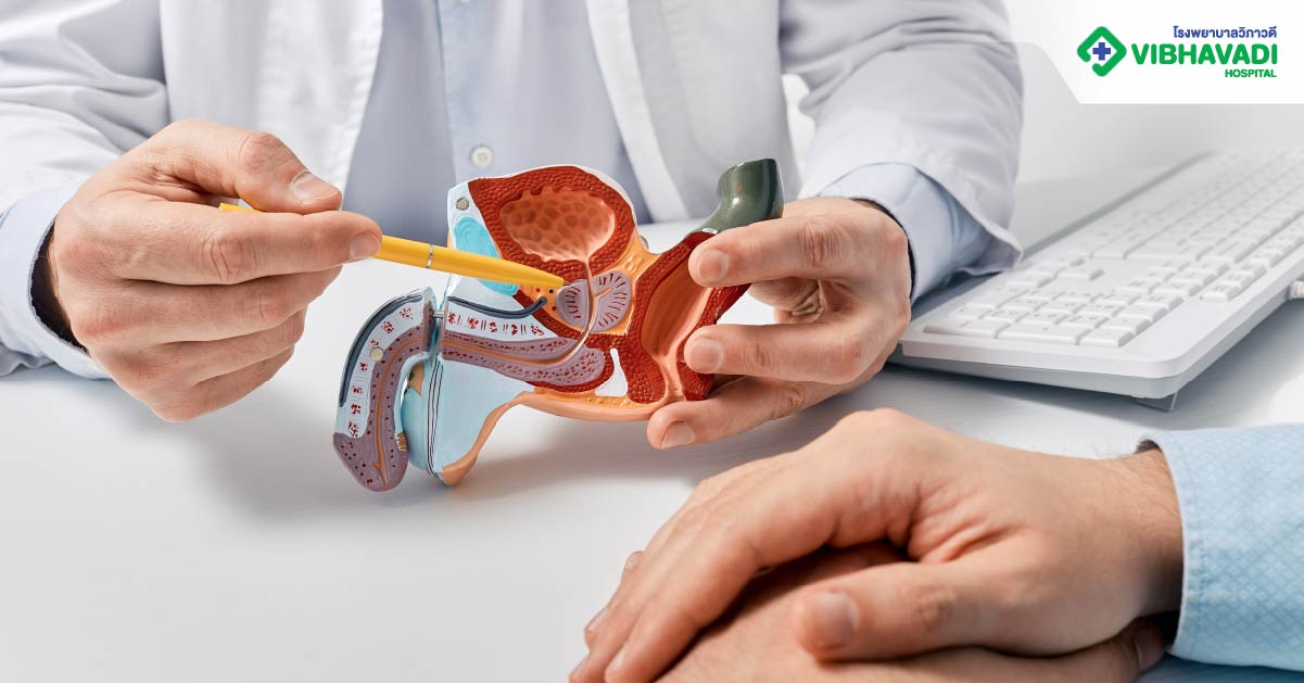 Prostate Cancer Causes